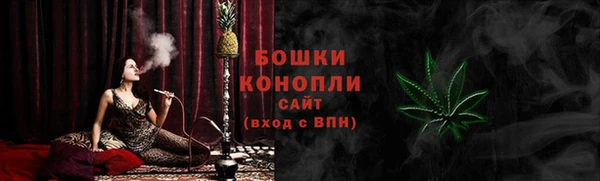 гидропоника Горнозаводск