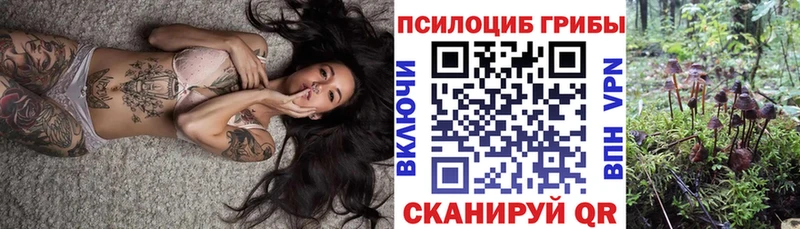 Псилоцибиновые грибы Psilocybine cubensis Купить где Кудымкар